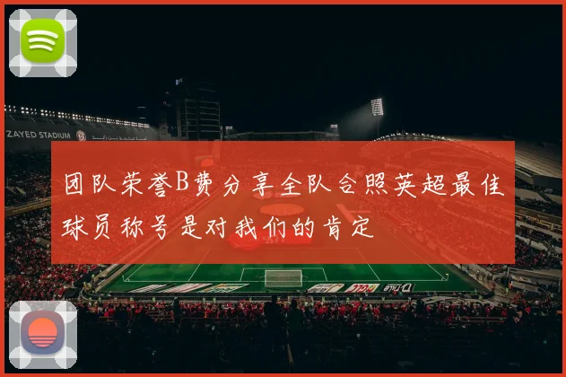 团队荣誉B费分享全队合照英超最佳球员称号是对我们的肯定