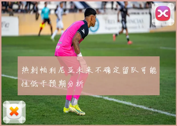 热刺帕利尼亚未来不确定留队可能性低于预期分析